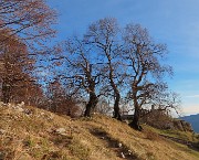 61 Ai Tre Faggi (1390 m)